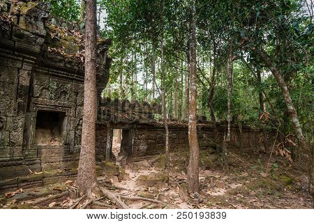Historic Ruins Of Ta Som Temple