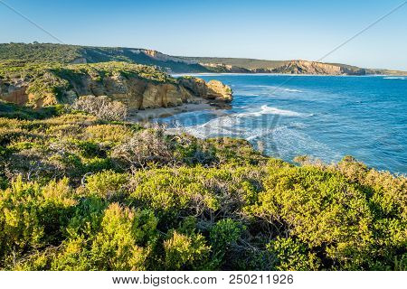 Attis Point Beach And View Of The Ocean During A Road Trip On The Great Ocean Road