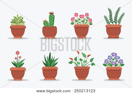 Room Plants Collection Pots, Set House Flowers In Blossom, Housepots Of Brown Color, Vector Illustra