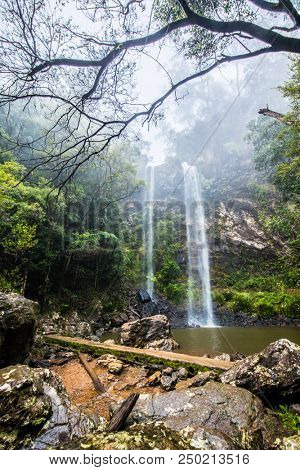 Twin Falls hike in the Springbrook National Park, Queensland, Australia