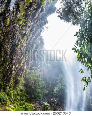 Twin Falls hike in the Springbrook National Park, Queensland, Australia
