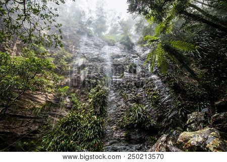 Twin Falls hike in the Springbrook National Park, Queensland, Australia