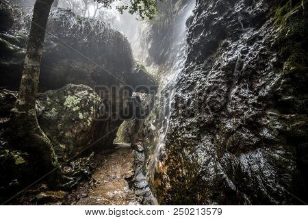 Twin Falls hike in the Springbrook National Park, Queensland, Australia