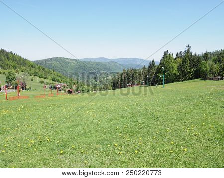 View Of Exciting Grassy Field And Forest At Beskid Mountains Range Landscapes In European Salmopol P