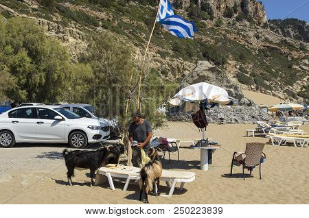 Tsambika, Rhodes, Greece - September 15, 2017: Man Feeds Wild Goats That Come From The Mountains To 