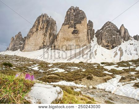 Spring Panorama View To Three Peaks - Tre Cime Di Lavaredo Massive Rock, Sexten Dolomites, South Tyr