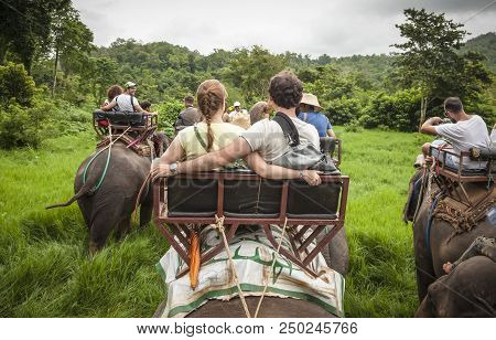 Chiang Mai (thailand) - 11 June 2017: Tourists Elephant Riding In Chiang Mai