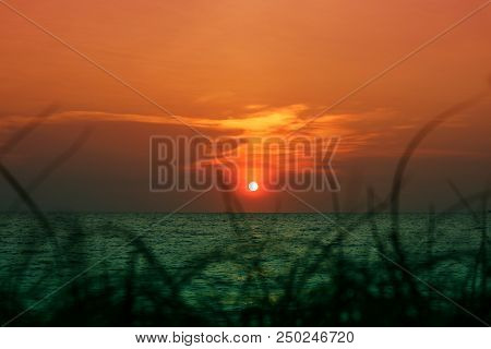 Blur Sunset On The Sea And Silhouette Grass On Beach Colorful Cold Sky