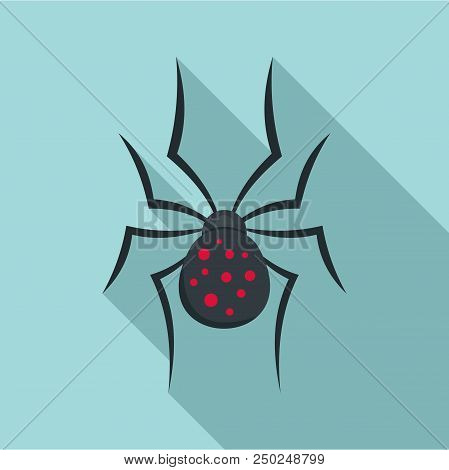 Spider Icon. Flat Illustration Of Spider Vector Icon For Web Design