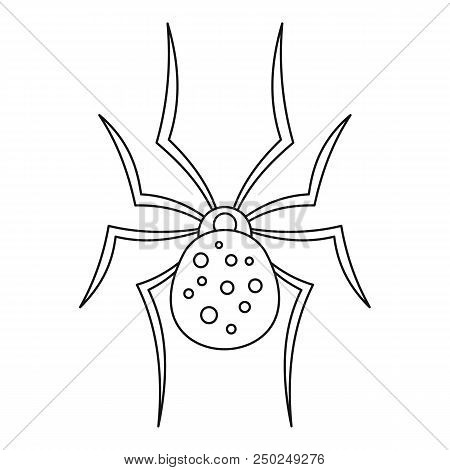 Spider Icon. Outline Spider Vector Icon For Web Design Isolated On White Background