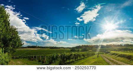 Sunset In The Vineyards Of Friuli Venezia Giulia