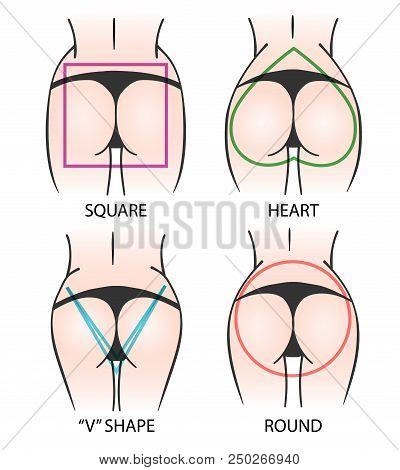 Set Of Main Shapes Of Buttocks. Woman Bodies In String Pants. Vector Illustration.