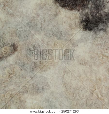 White Felt With Fleece With Black Spots, Abstract Background