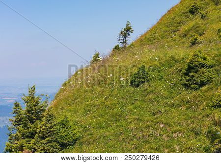 Slope Of Mt Rigi In Switzerland In Summertime. Mt Rigi Is A Popular Tourist Destination, Accessible 