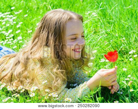 Child Enjoy Fragrance Of Tulip While Lying At Meadow. Girl With Long Hair Lying On Grassplot, Grass 