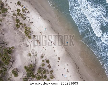 Aerial straight down view of beach with palm trees and people.