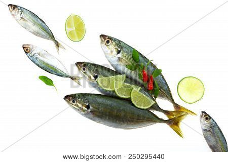 Fresh Fish With Lemon And Leaf Isolated On White Background,concept Cooking Background.