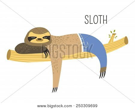 Sloth In Jeans On Branch Childish Cartoon Book Character. Lazy Animal With Claws And Thick Fur In Pa