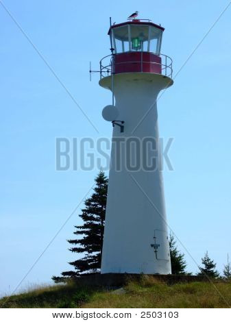 Leuchtturm und seagull