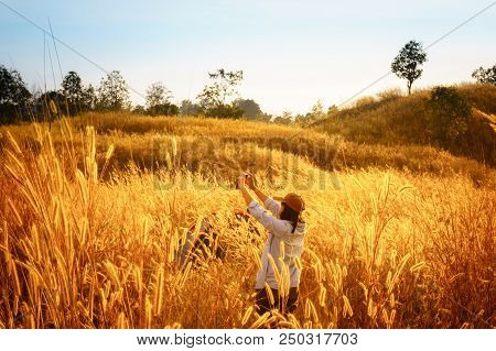 Outdoors Camping Grass Highlands Mountain In The Sunset.