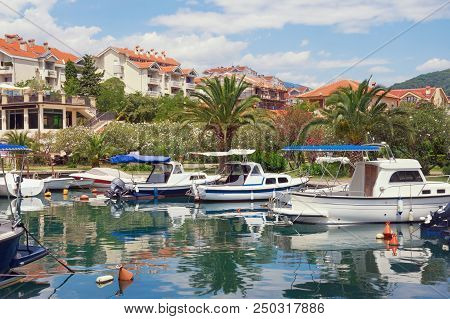 Beautiful Summer Mediterranean Landscape With Palm Trees, Blooming Oleanders And Fishing Boats In Ha