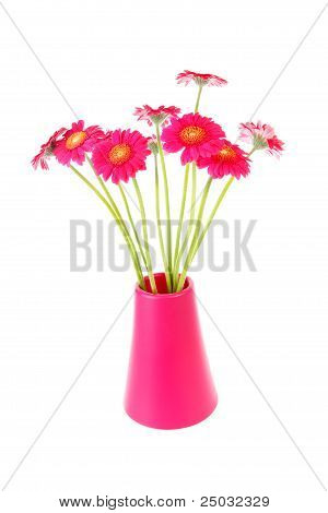 핑크 거 버 꽃 Inl 꽃병