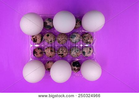 Goose, Duck, Hen And Quail Eggs, Still Life Photography.