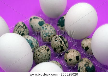 Boiled Quail Eggs On White Background Fragile Fresh