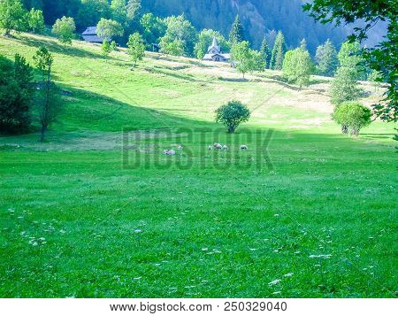 Panoramic View Of An Alpine Valley