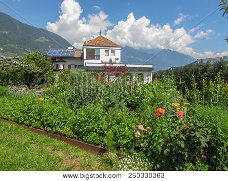 House With Garden And Solar Panels On The Roof