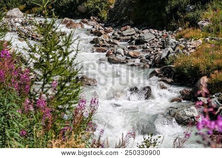 Flowers On A Little River In An Alpine Valley