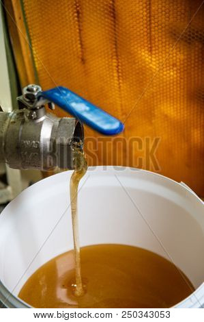 Strain The Poured Honey Through A Sieve. How To Harvest Honey. Filtering Raw Honey.