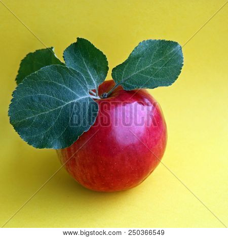 Fresh Red Apple With Leaves On Bright Yellow Background