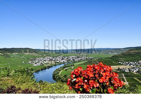 Leiwen Village On The Mosell Ein Germany
