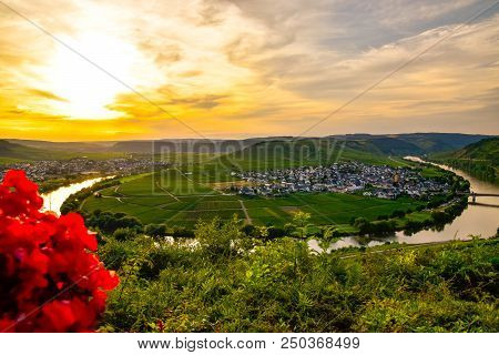 Leiwen Village On The Mosell Ein Germany