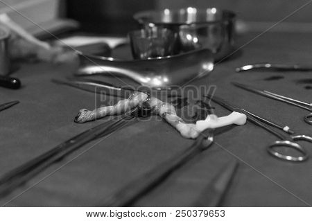 Marietta, Ohio, April 2018, A Umbilical Cord Laying On A Table Among Medical Tools