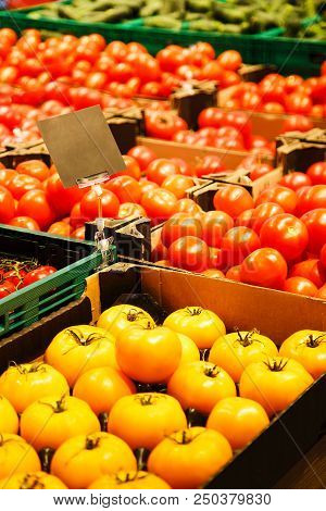 Colourful Mix Of Different Red, Orange, Yellow, Green Fresh Vegetables At Market.