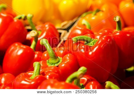 Colourful Mix Of Different Red, Orange, Yellow Fresh Bell Pepper At Market.