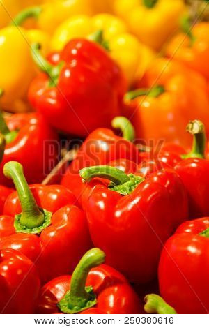 Colourful Mix Of Different Red, Orange, Yellow Fresh Bell Pepper At Market.