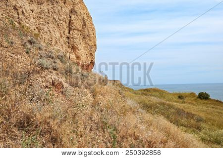 wildflowers on high coast by the sea, beautiful summer landscape, travel concept