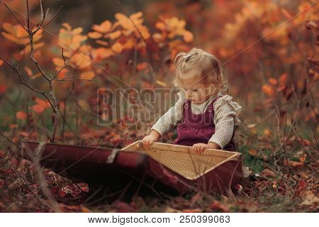 Little Cute Blonde Girl Sits In Autumn Park And Looks In An Old Suitcase