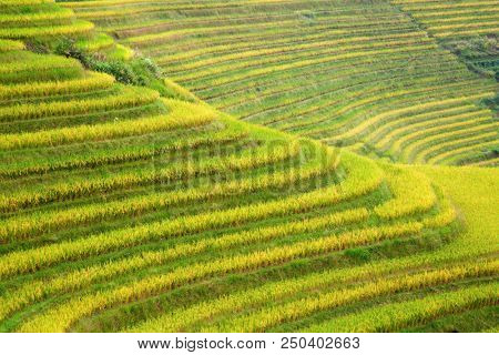 The Longsheng Rice Terraces(Dragon's Backbone) also known as Longji Rice Terraces are located in Longsheng County, about 100 kilometres (62 mi) from Guilin, Guangxi, China