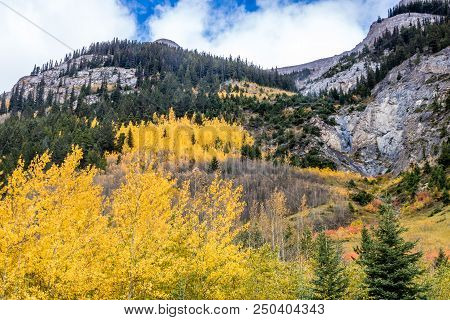A View From The Side Of The Bow Valley Parkway, Banff National Park, Alberta, Canada