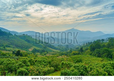 Landscape Of Phucheefah Mountain Forest Park In Chiang Rai Province Thailand