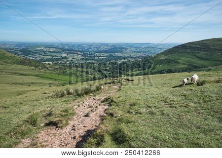 Stunning Colorful Summer Landscape Of Brecon Beacons National Park Looking Down Valley