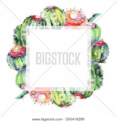 Wildflower Green Cactus. Floral Botanical Flower. Frame Border Ornament Square. Aquarelle Wildflower