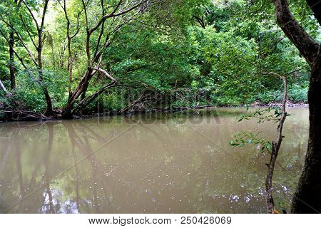 River Through The Jungle In The Lomas De Barbudal Biological Reserve, Costa Rica