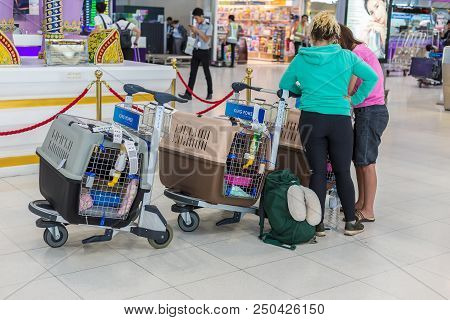 Bangkok, Thailand - 21 July 2018 - Tourists Travel With Their Pets In Airport Checked In Animal Cont