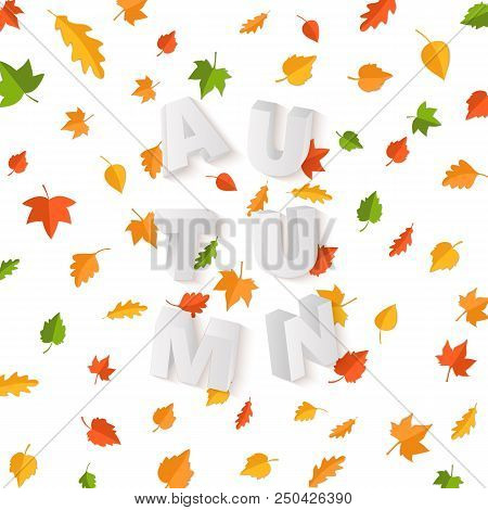 Word Autumn Composition With Green Yellow Red Leaves On White Background In Paper Cut Style. Fall Le