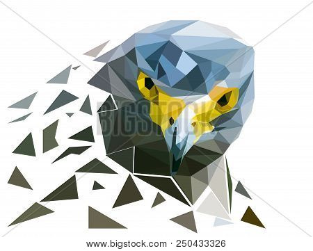 Falcon Polygon Vector Art And Illustration, Head And Face Of Falcon Bird.